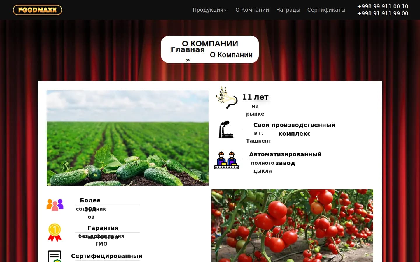 FOODMAXX: перший екран старого сайту — Комп'ютер