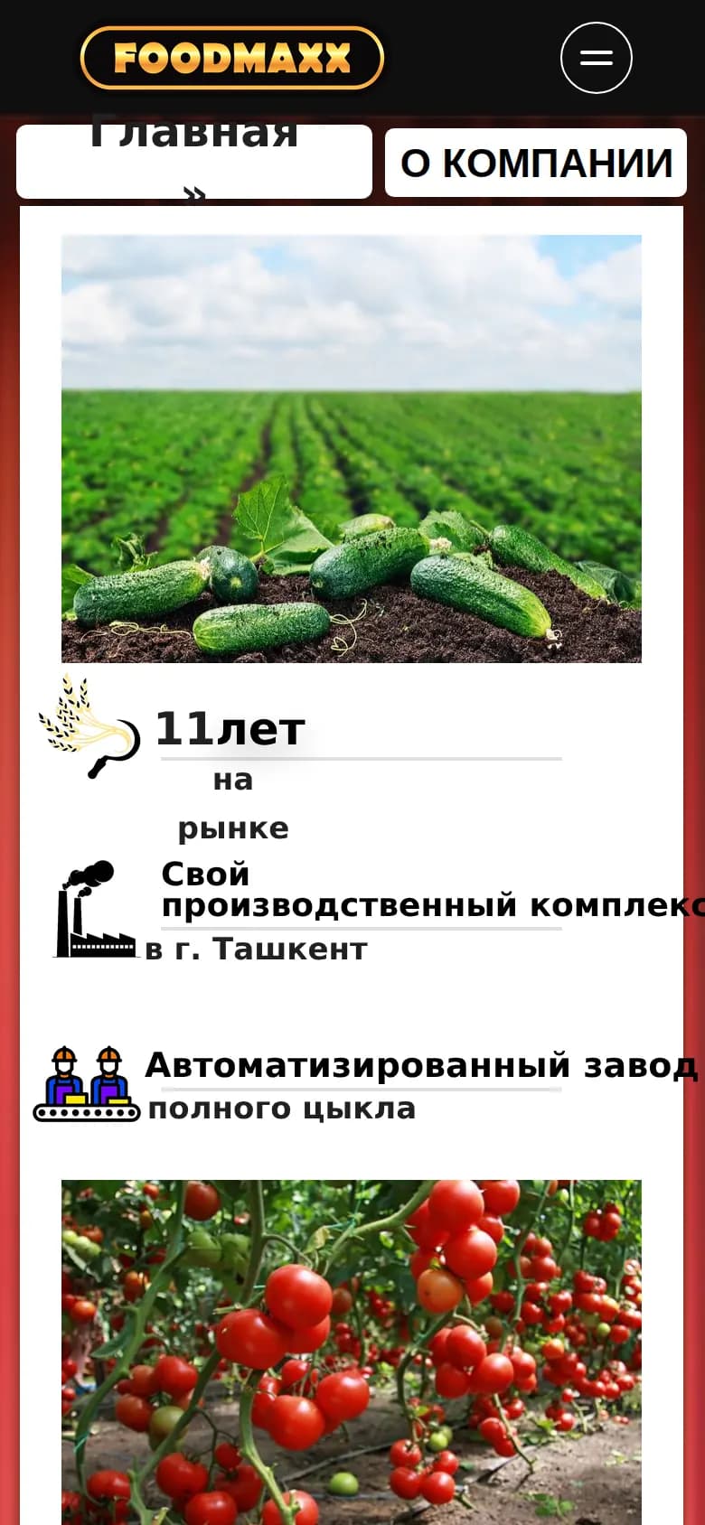 FOODMAXX: перший екран старого сайту — Телефон