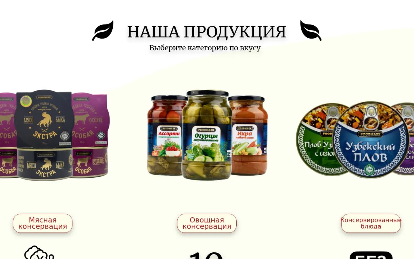 FOODMAXX: перший екран старого сайту — Комп'ютер