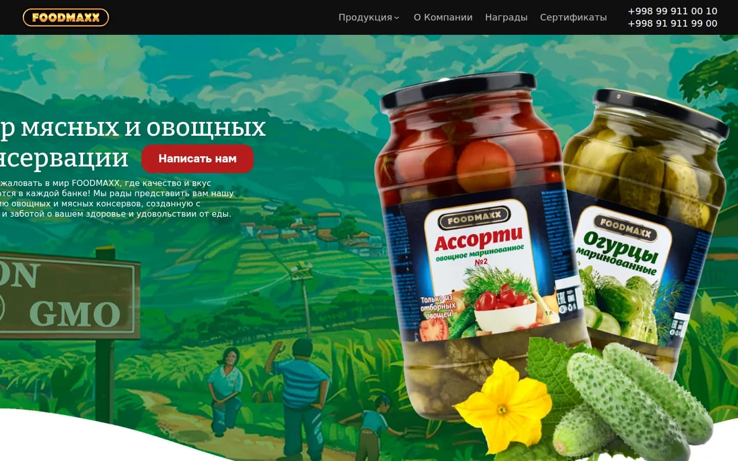 FOODMAXX: перший екран старого сайту — Комп'ютер