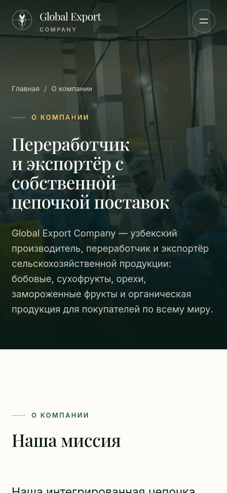Global Export: перший екран сайту, який зробили ми — Телефон