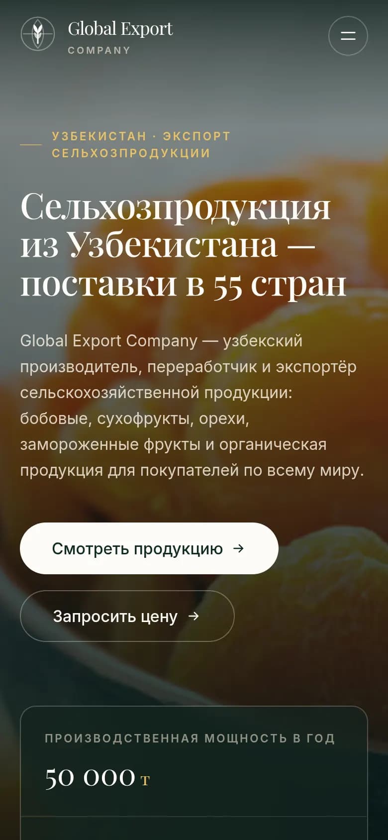 Global Export: перший екран сайту, який зробили ми — Телефон