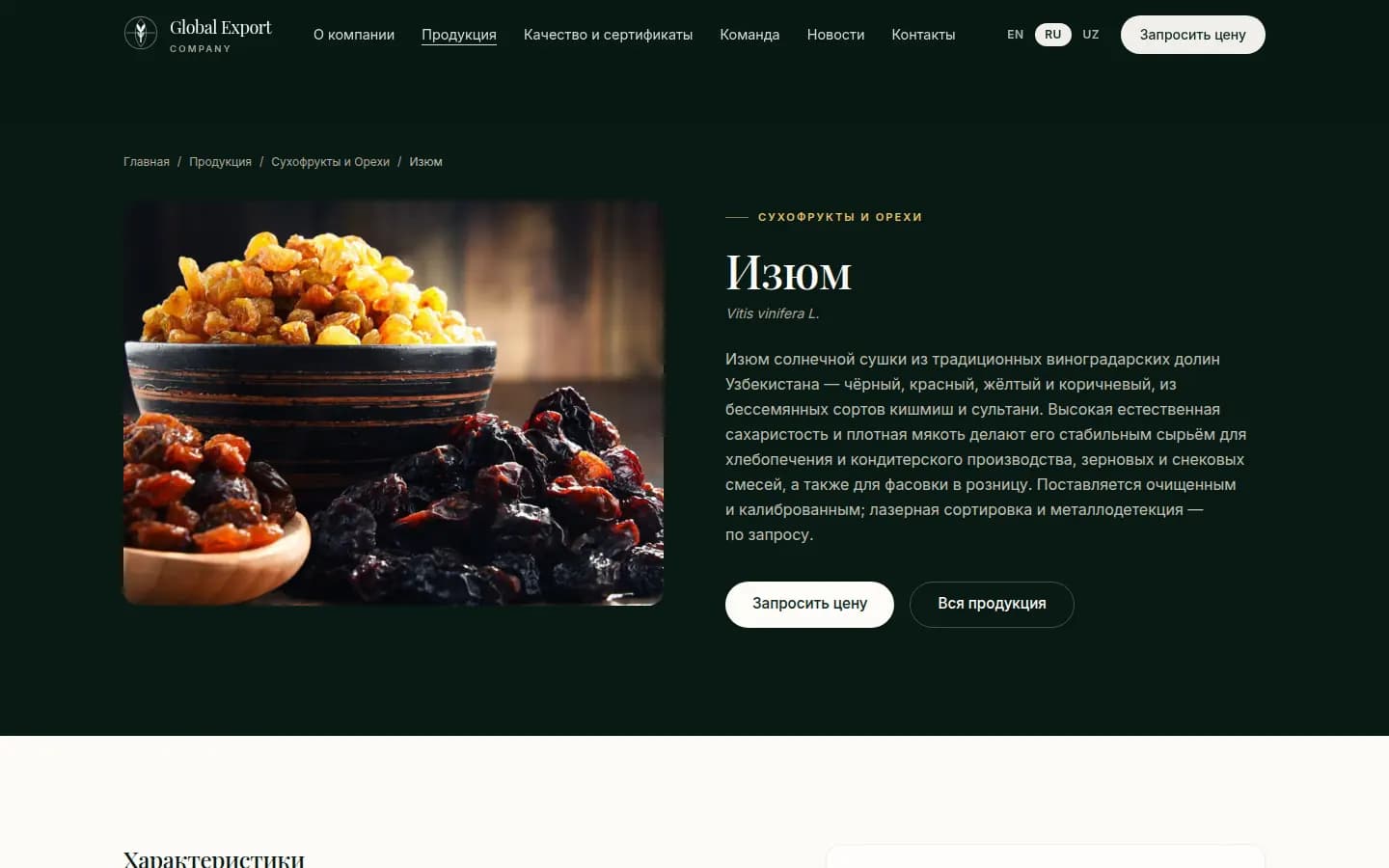 Global Export: перший екран сайту, який зробили ми — Комп'ютер