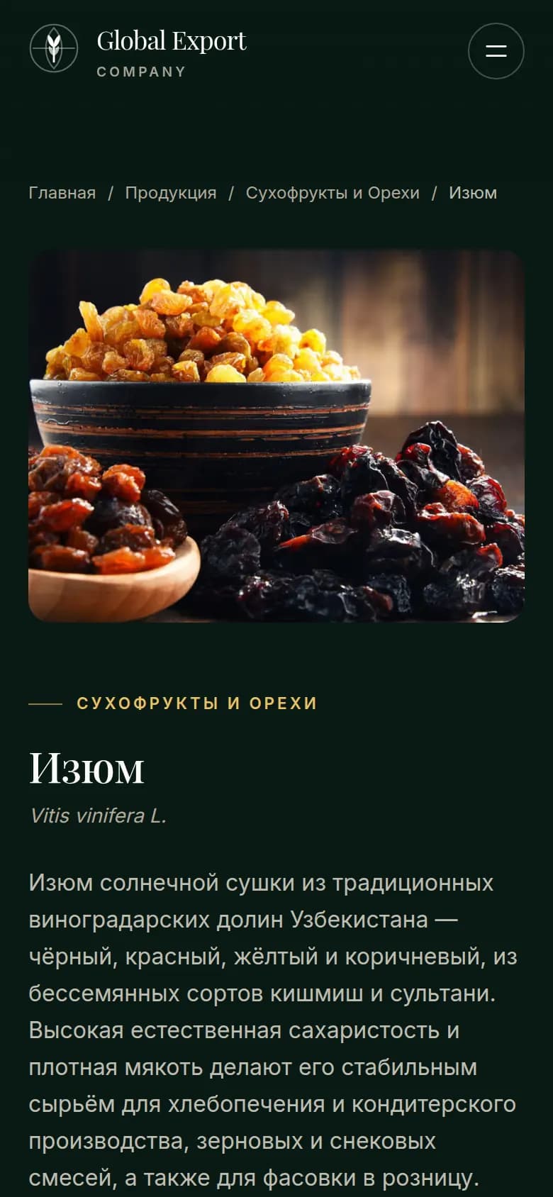 Global Export: перший екран сайту, який зробили ми — Телефон